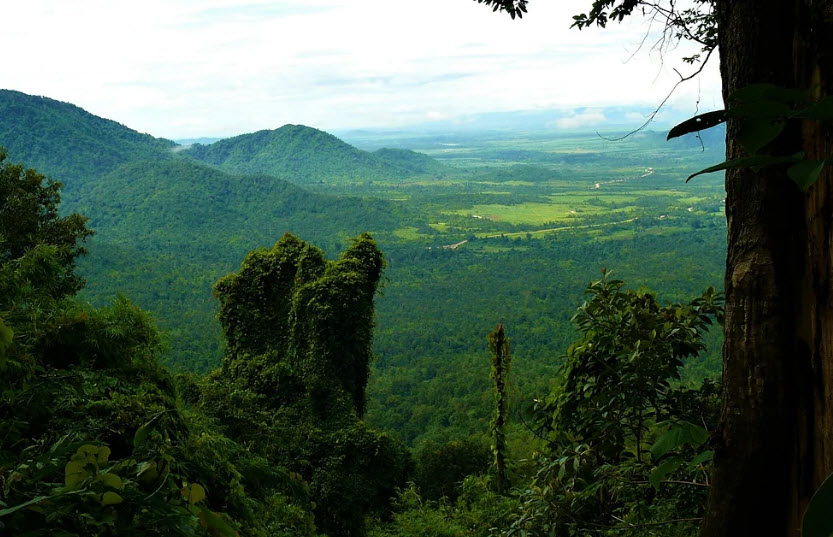 Cardamom Mountains, Cambodia